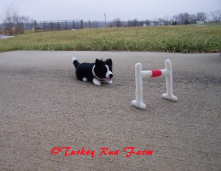 Photo of K9 Athlete Border Collie in Fiber Art